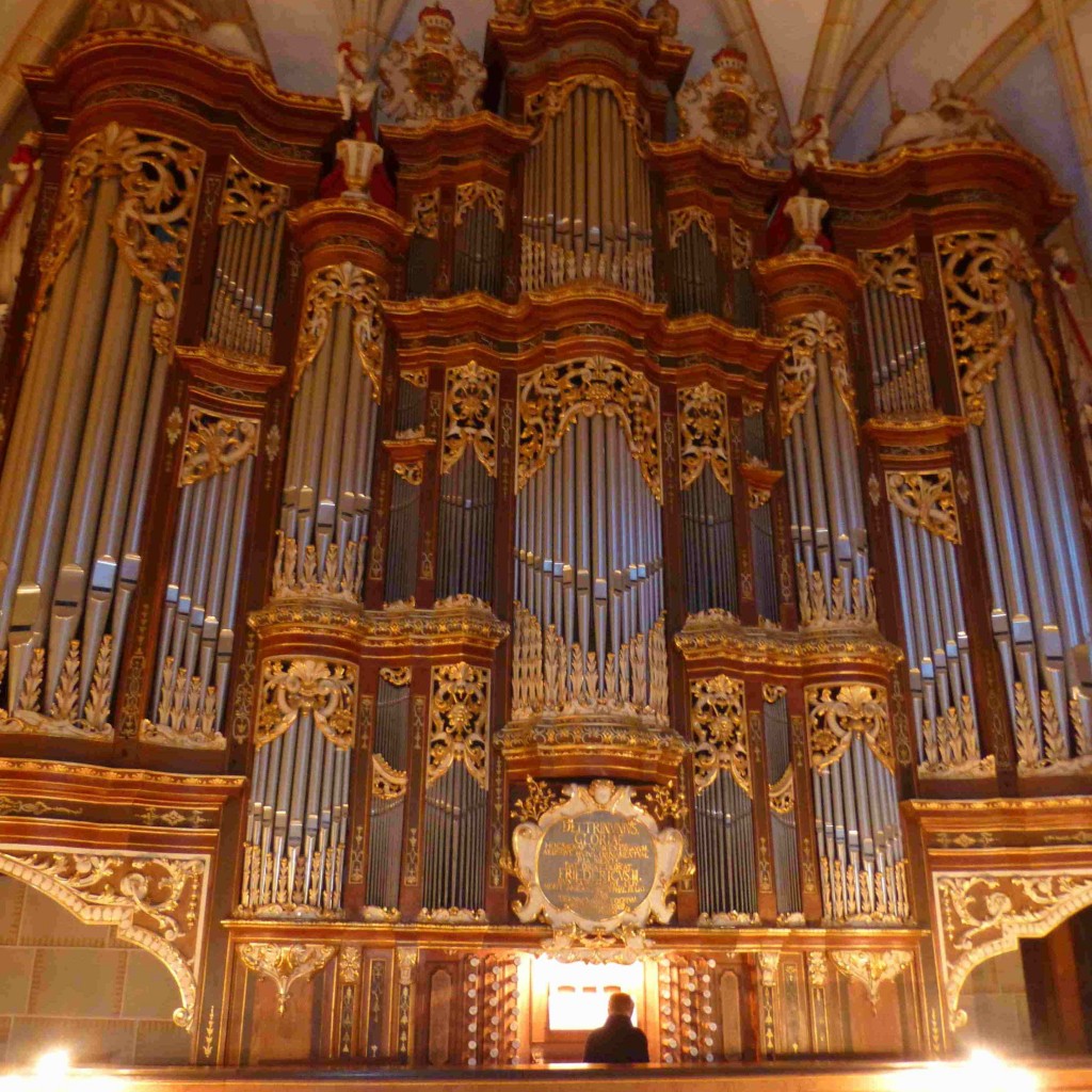 Orgel_Altenburg_Schlosskirche